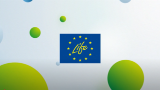 LIFE-Logo umringt von grünen Kreisen